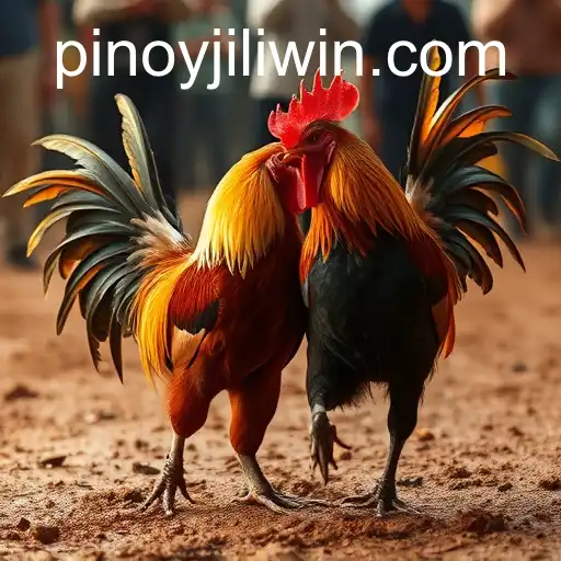 The Controversy and Culture of Cockfighting: Exploring JILI.win's Impact